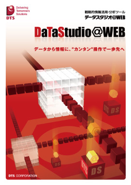 DS_brochure_img_270_380_logo2021.jpeg